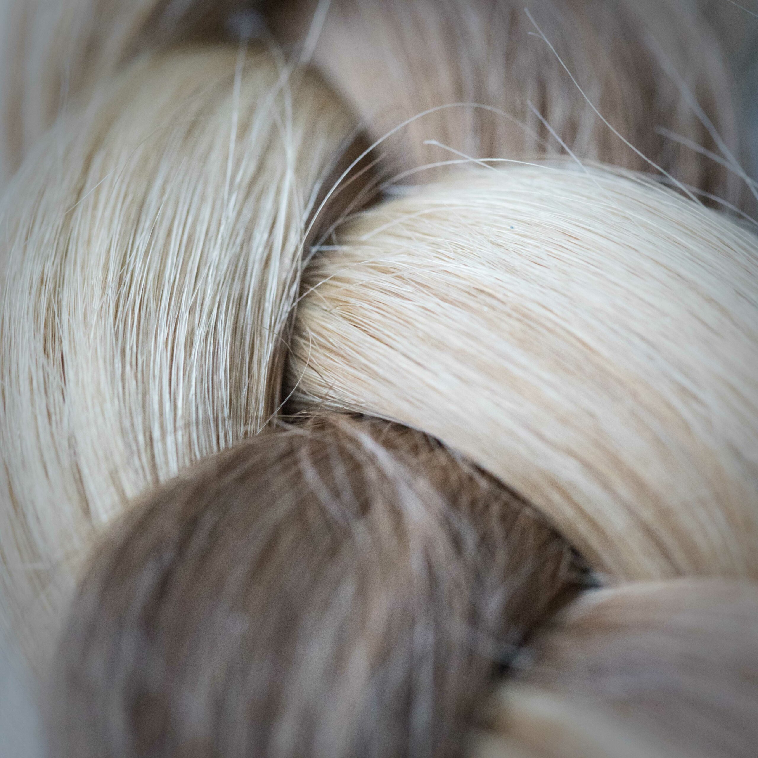 Braided-Hair-Blond-2019-01-Plate